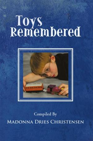 Cover of the book Toys Remembered by Sherrie Seibert Goff