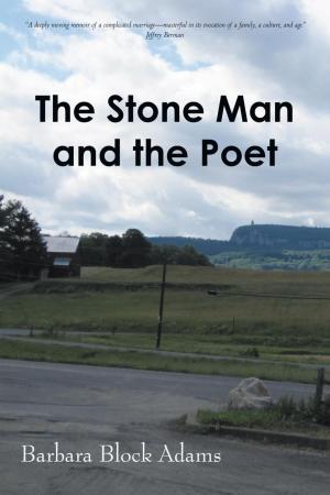 Cover of the book The Stone Man and the Poet by Juan Enrique Ortega Ramos
