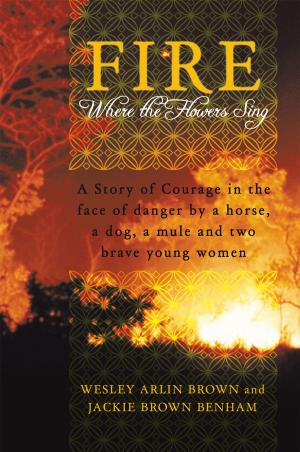 Cover of the book Fire by Adek Apfelbaum