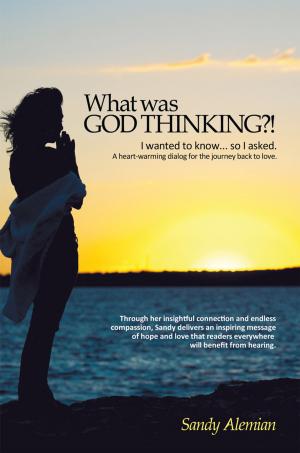 Cover of the book What Was God Thinking?! by Rev Dempsey Harshaw