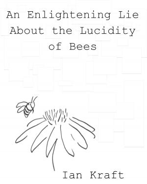 Cover of An Enlightening Lie About the Lucidity of Bees