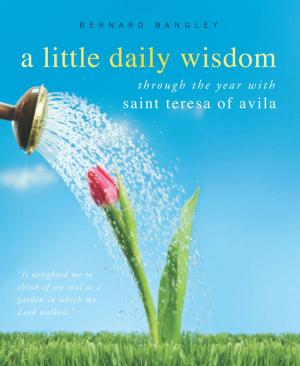 Cover of the book A Little Daily Wisdom: Through the Year with Saint Teresa of Avila by Scot McKnight