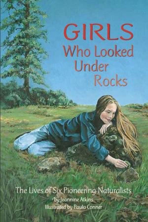 Cover of the book Girls Who Looked Under Rocks by Eric Steven Johnson