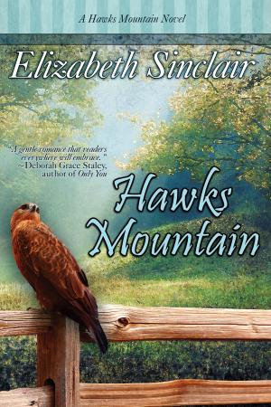Cover of the book Hawks Mountain by Mary Lennox