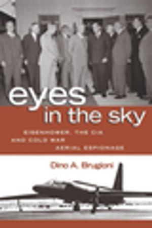 Cover of the book Eyes in the Sky by Cutler