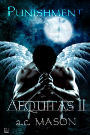 Cover of the book Aequitas II Punishment by Allyson Charles