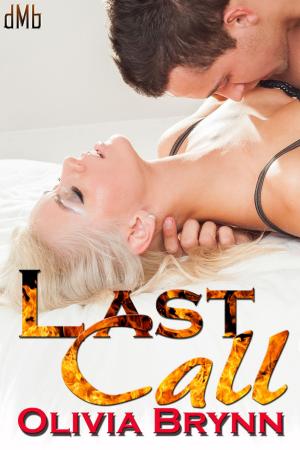 Cover of the book Last Call by Lou Addison