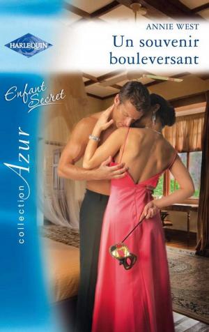Cover of the book Un souvenir bouleversant by Julie Kagawa
