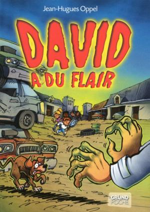 Cover of the book David a du flair by Agnès GROSSMANN