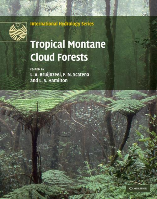 Cover of the book Tropical Montane Cloud Forests by , Cambridge University Press