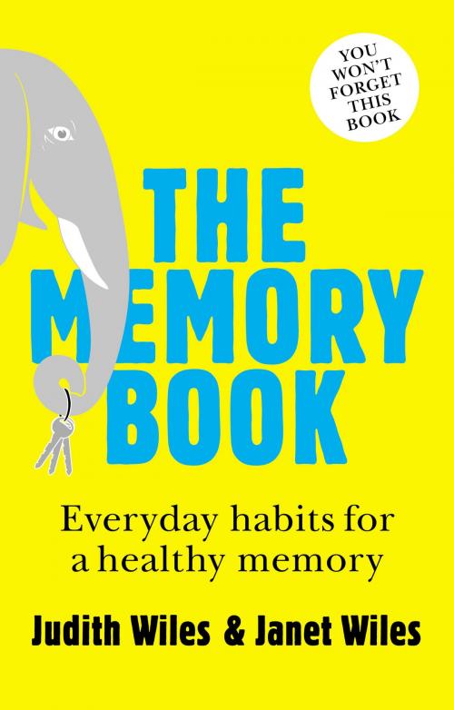 Cover of the book The Memory Book by Janet Wiles, Judith Wiles, ABC Books