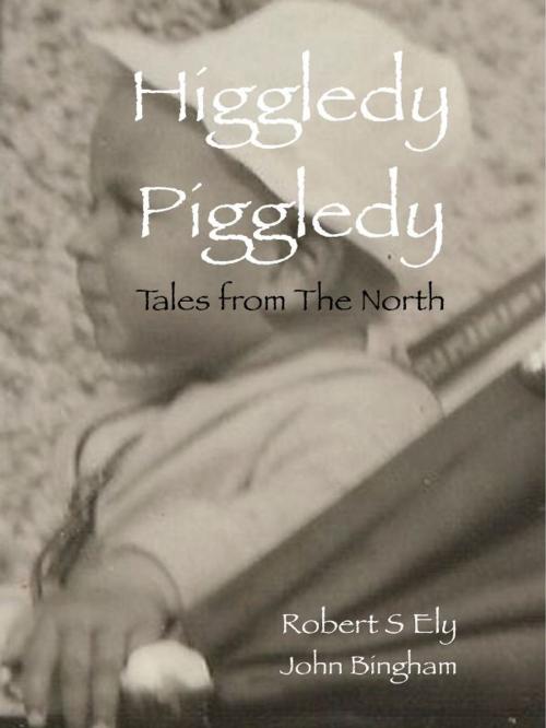 Cover of the book Higgeldy-Piggledy by Robert S Ely, The Paradigm Group