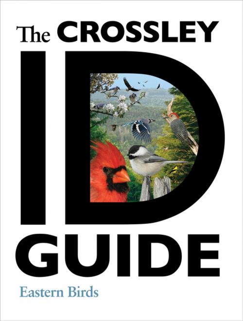 Cover of the book The Crossley ID Guide by Richard Crossley, Princeton University Press