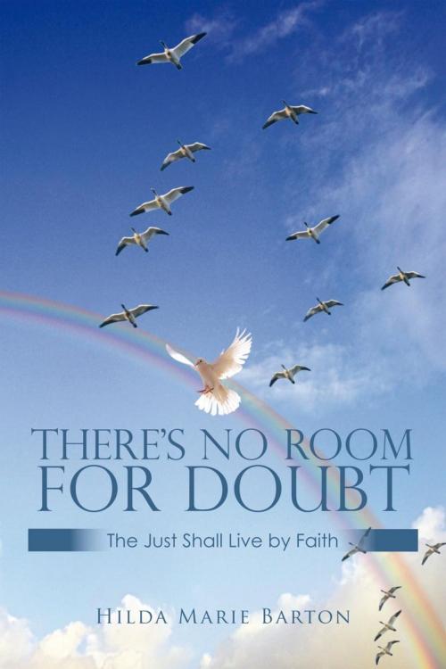 Cover of the book There’S No Room for Doubt by Hilda Marie Barton, Trafford Publishing