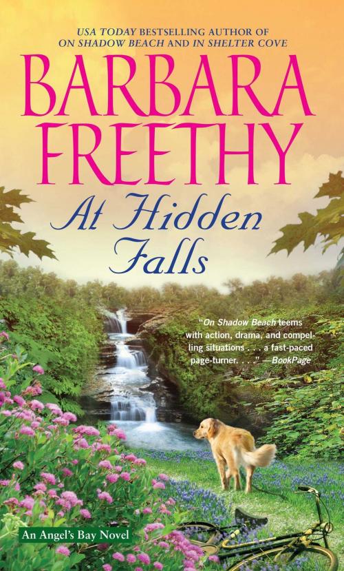 Cover of the book At Hidden Falls by Barbara Freethy, Pocket Books