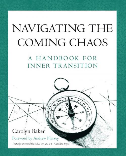 Cover of the book Navigating the Coming Chaos by Carolyn Baker, iUniverse