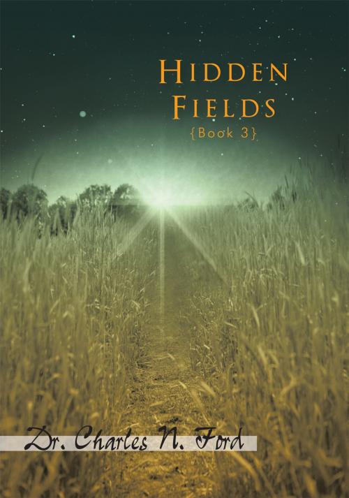 Cover of the book Hidden Fields Book 3 by By Dr. Charles N. Ford, iUniverse