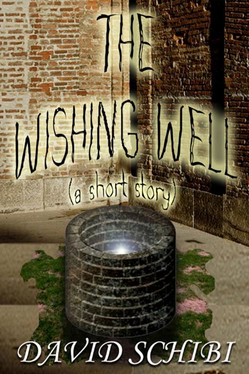 Cover of the book The Wishing Well by David Schibi, Gambler Press