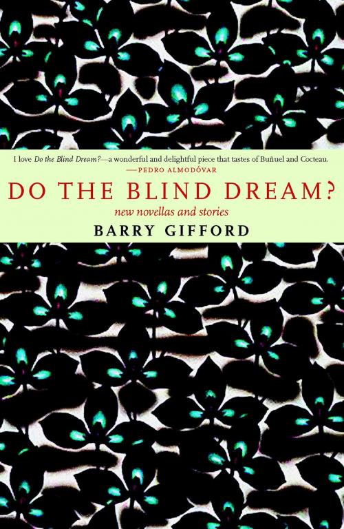 Cover of the book Do the Blind Dream? by Barry Gifford, Seven Stories Press