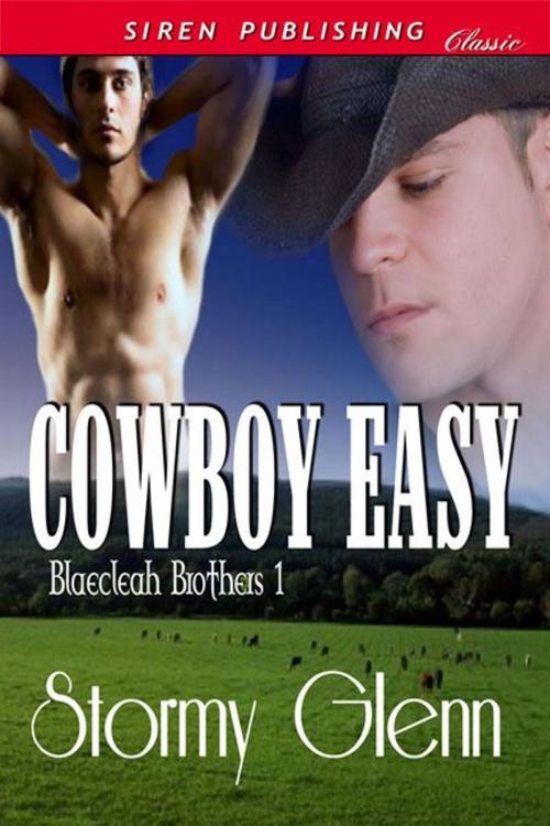 Cover of the book Cowboy Easy by Stormy Glenn, Siren-BookStrand