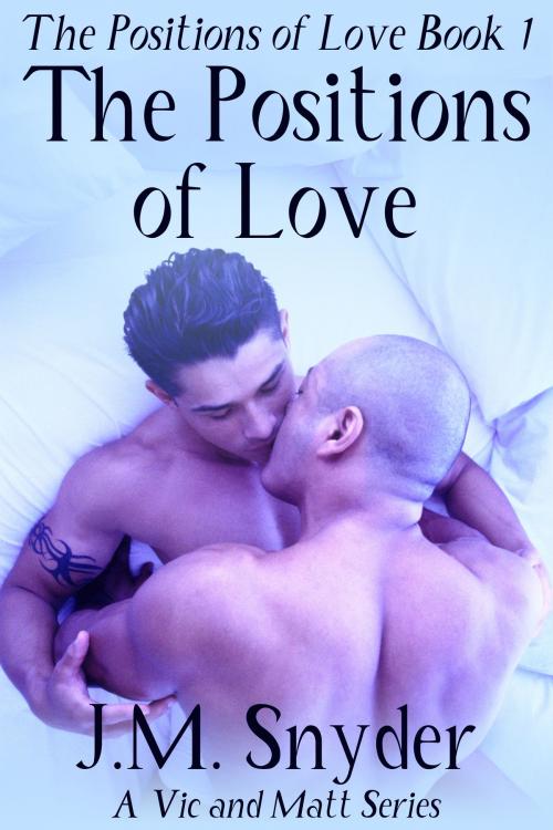 Cover of the book The Positions of Love by J.M. Snyder, JMS Books LLC