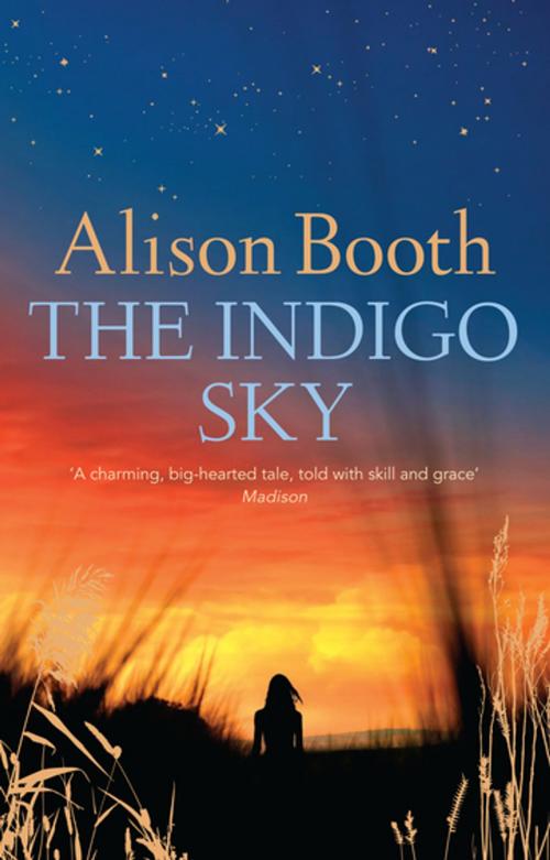 Cover of the book The Indigo Sky by Alison Booth, Penguin Random House Australia