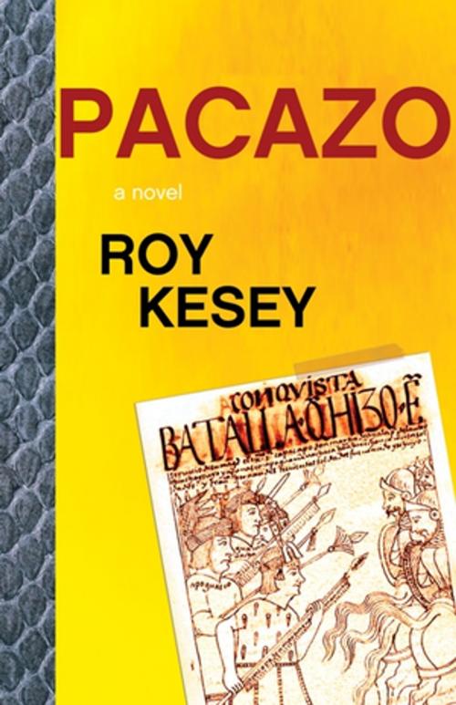 Cover of the book Pacazo by Roy Kesey, Dzanc Books