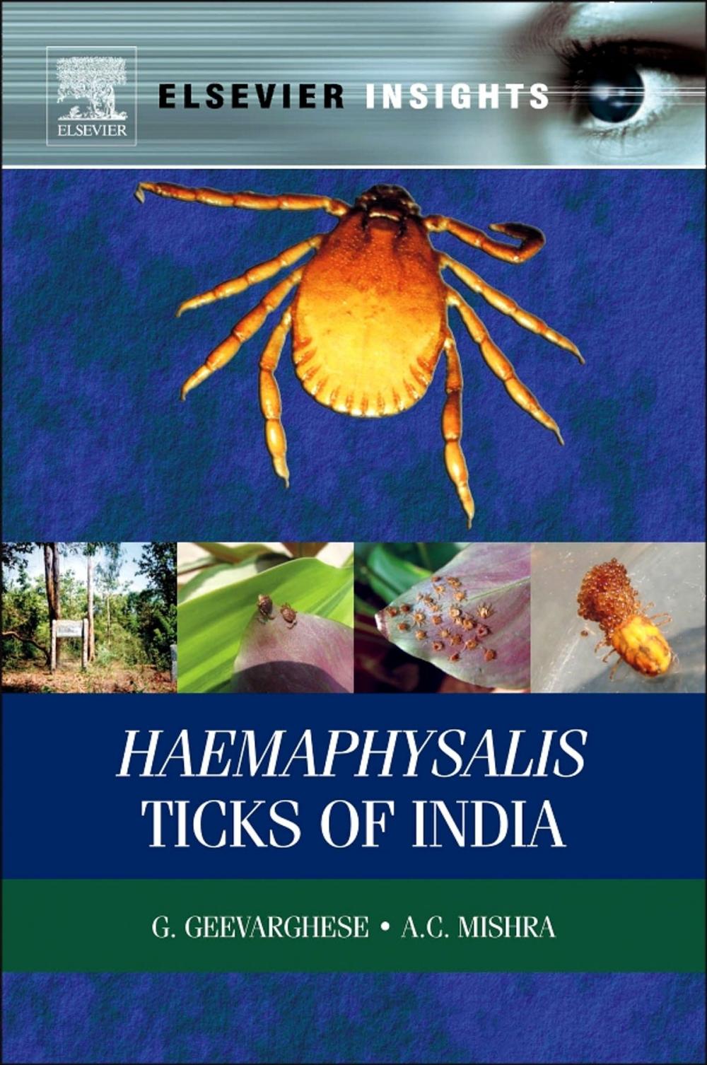 Big bigCover of Haemaphysalis Ticks of India