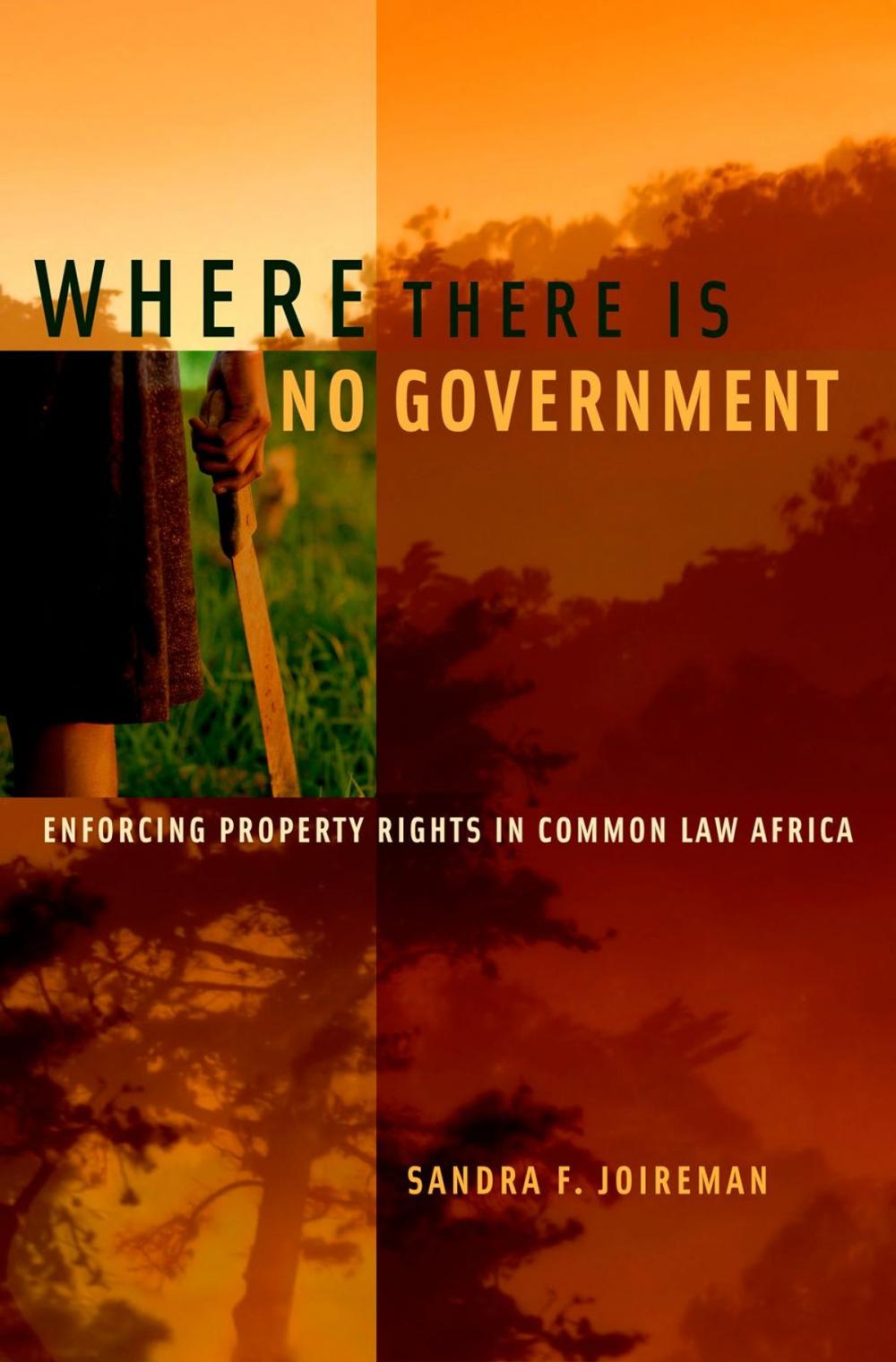 Big bigCover of Where There is No Government