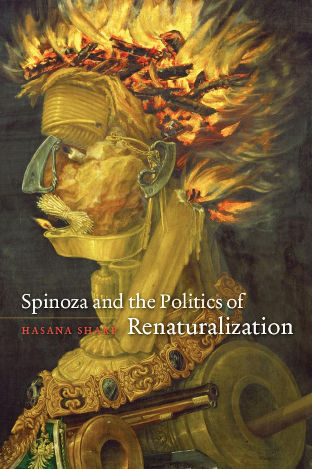 Big bigCover of Spinoza and the Politics of Renaturalization