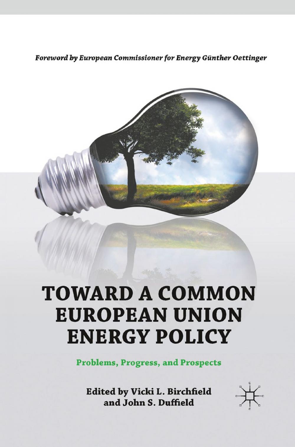 Big bigCover of Toward a Common European Union Energy Policy