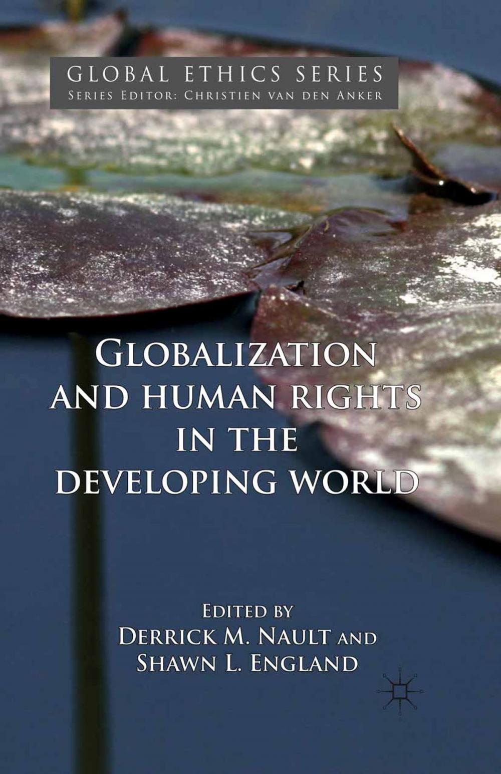 Big bigCover of Globalization and Human Rights in the Developing World