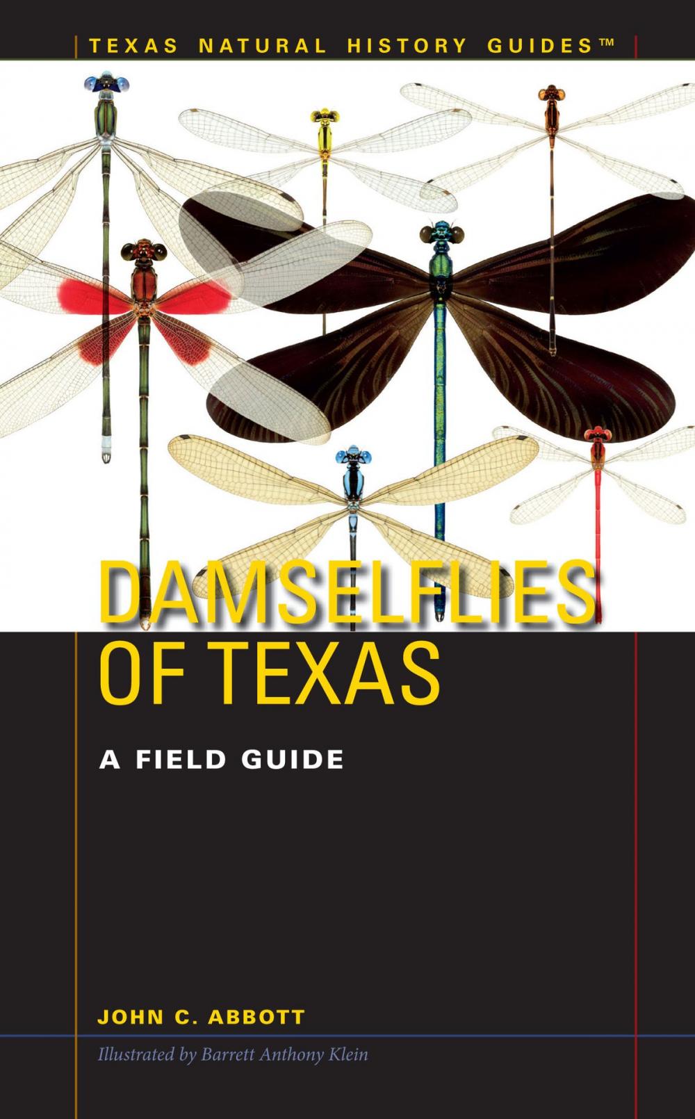 Big bigCover of Damselflies of Texas