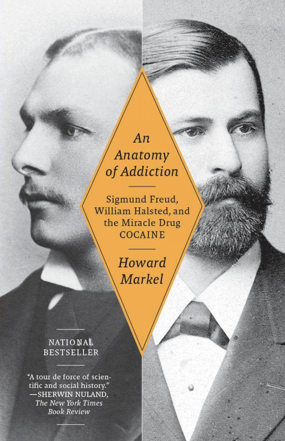 Big bigCover of An Anatomy of Addiction