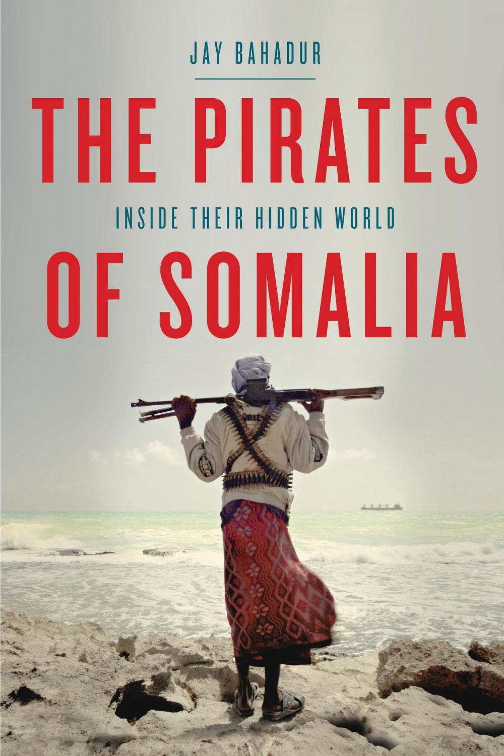 Big bigCover of The Pirates of Somalia