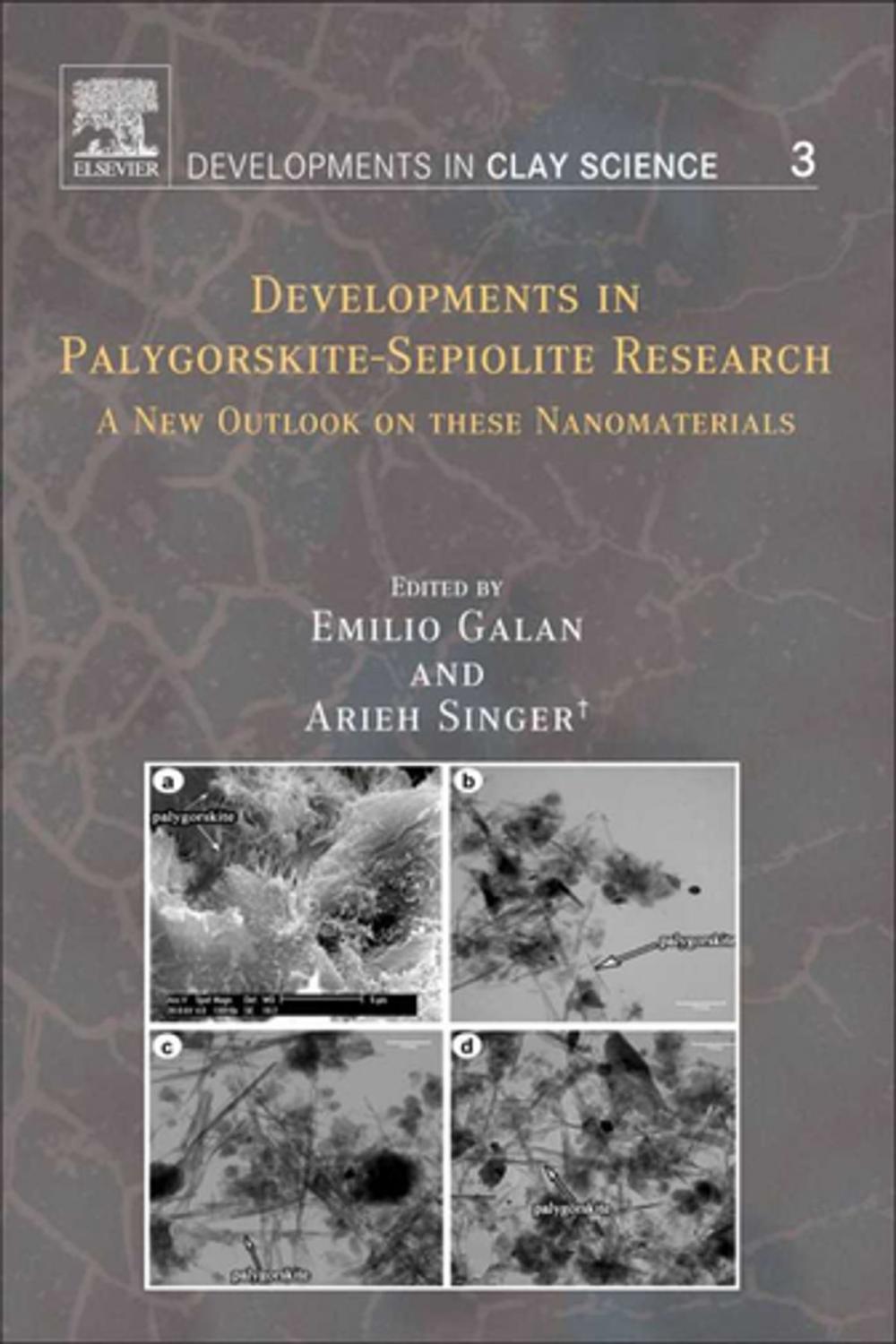 Big bigCover of Developments in Palygorskite-Sepiolite Research