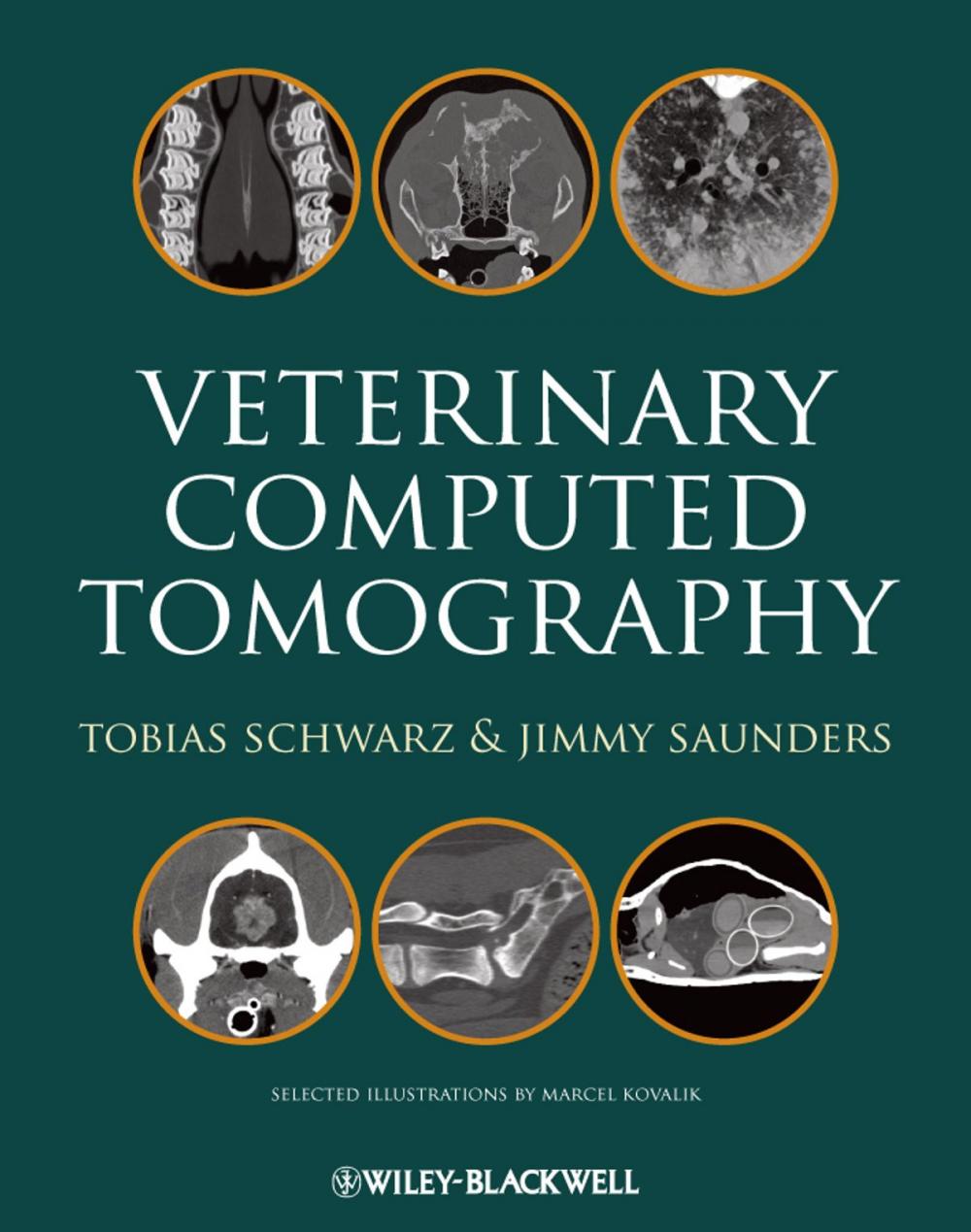 Big bigCover of Veterinary Computed Tomography