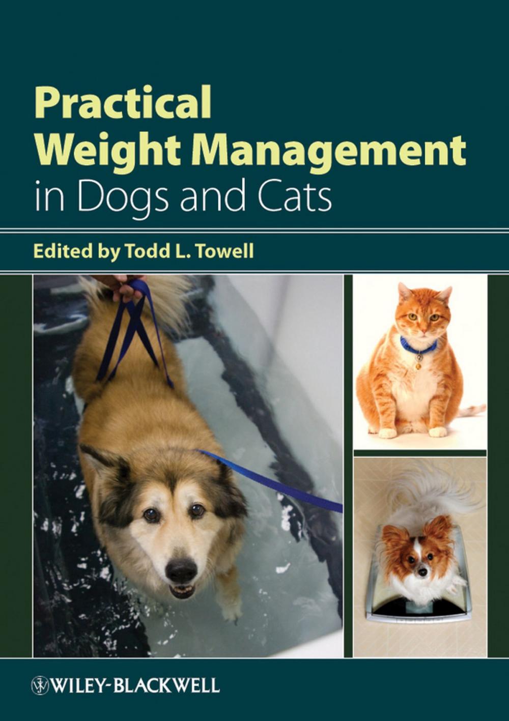 Big bigCover of Practical Weight Management in Dogs and Cats