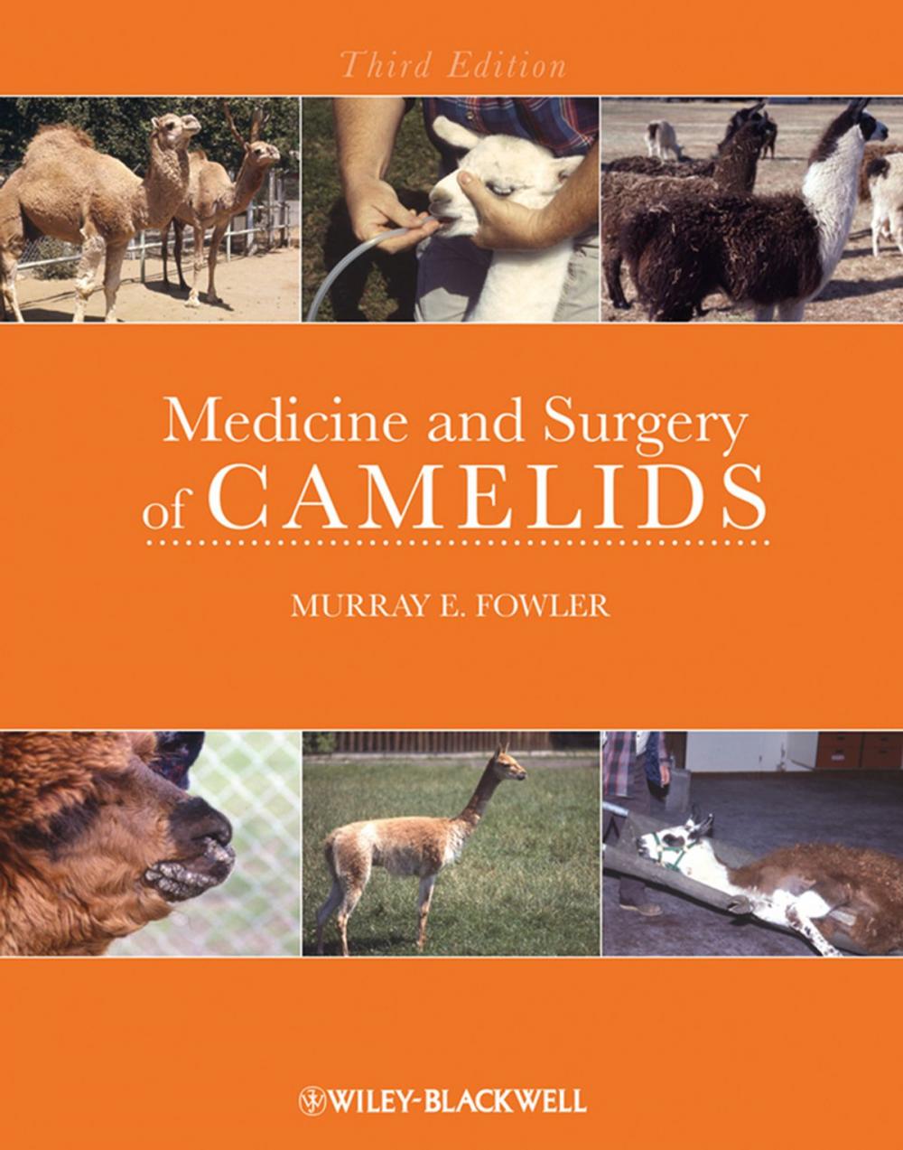 Big bigCover of Medicine and Surgery of Camelids
