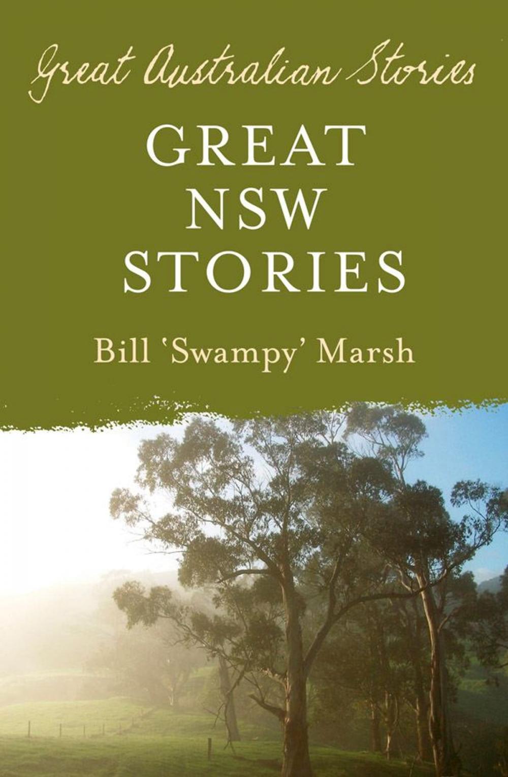 Big bigCover of Great NSW Stories