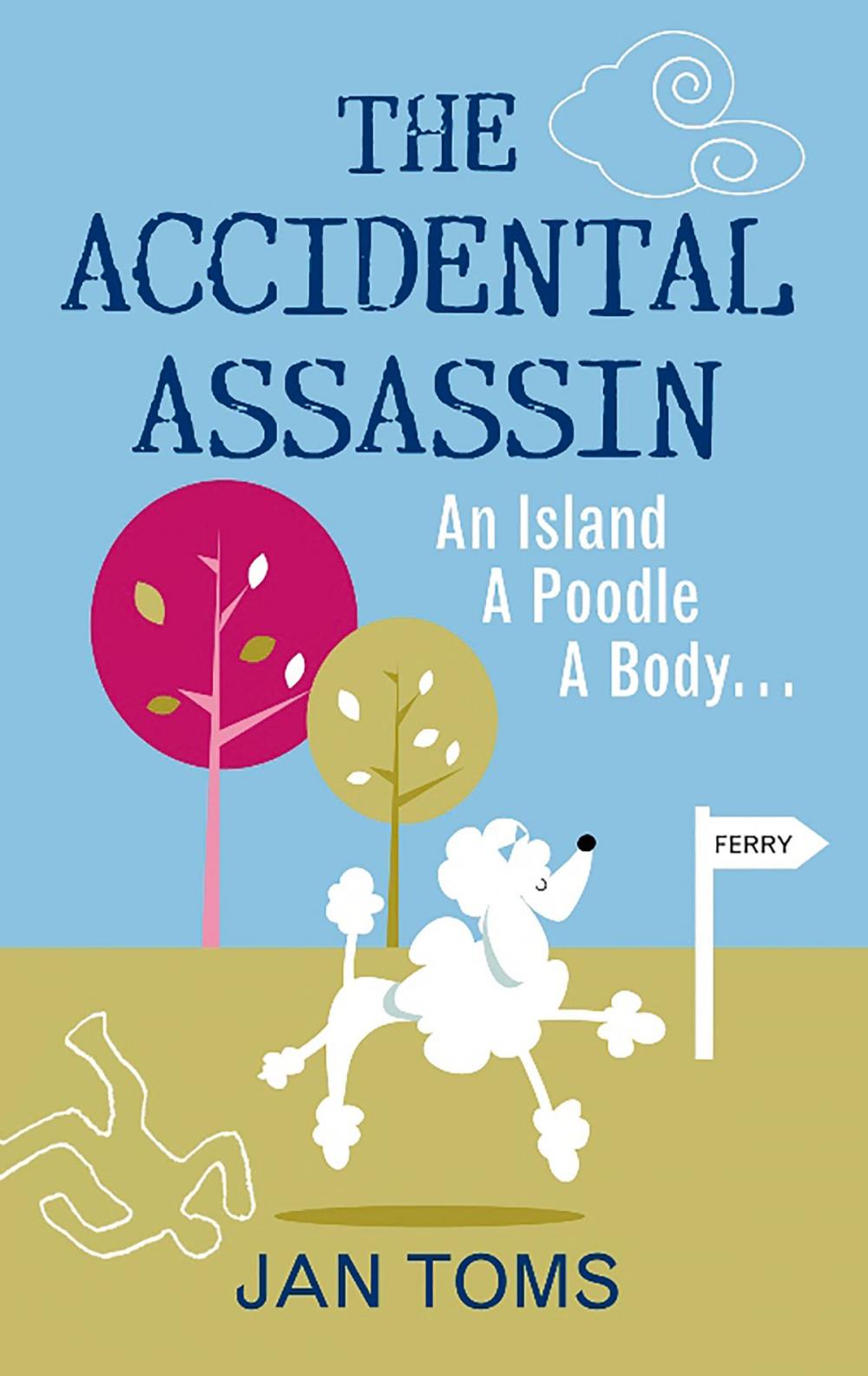 Big bigCover of Accidental Assassin