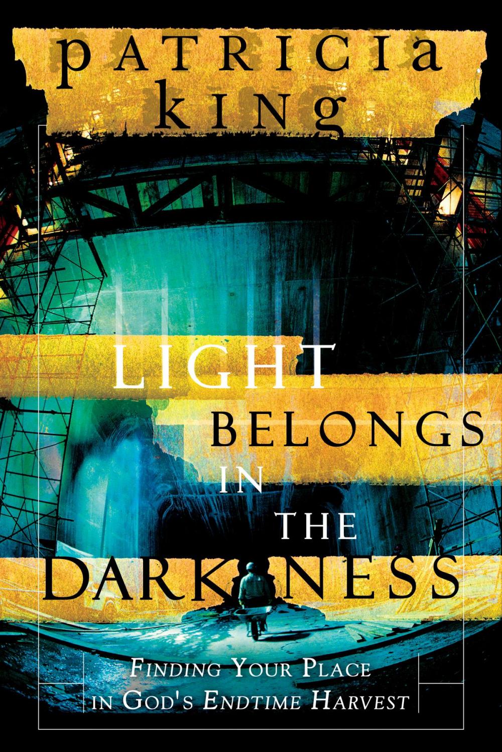 Big bigCover of Light Belongs in the Darkness: Finding Your Place in God's Endtime Harvest