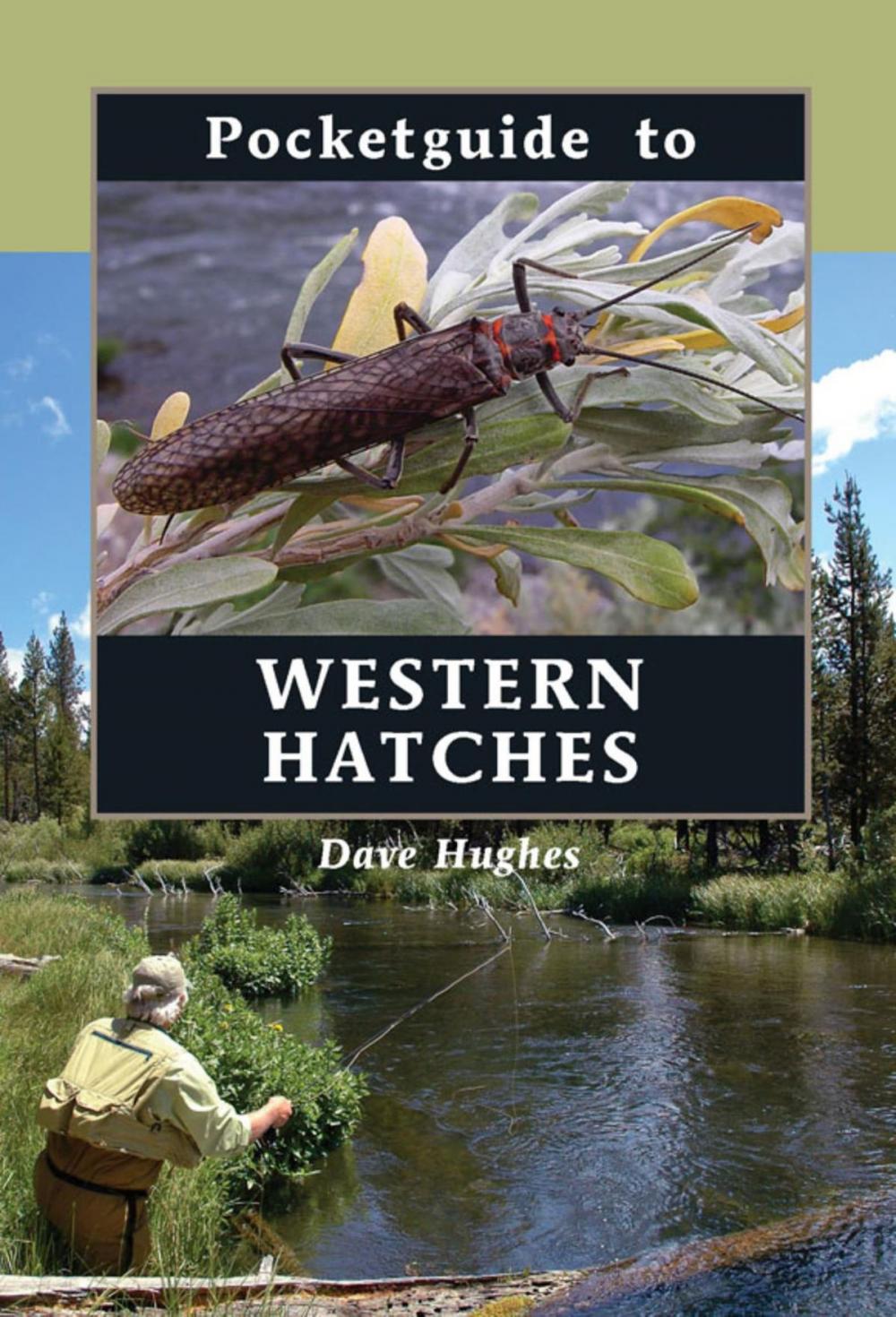 Big bigCover of Pocketguide to Western Hatches