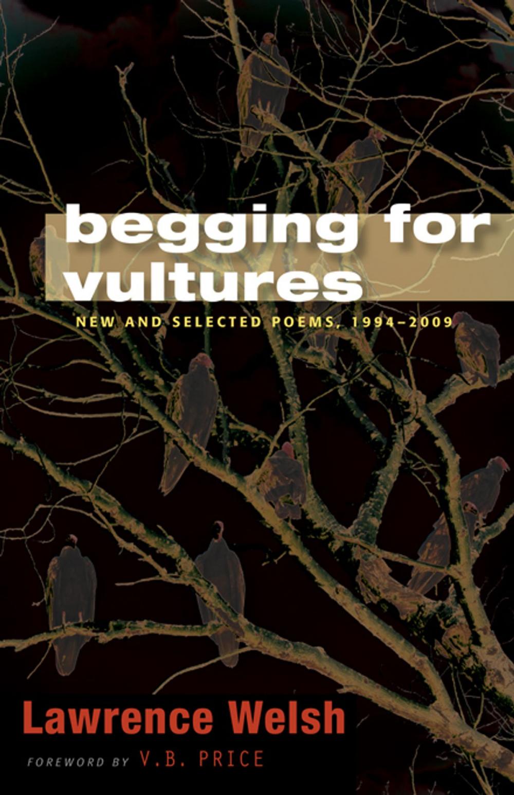 Big bigCover of Begging for Vultures: New and Selected Poems, 1994-2009