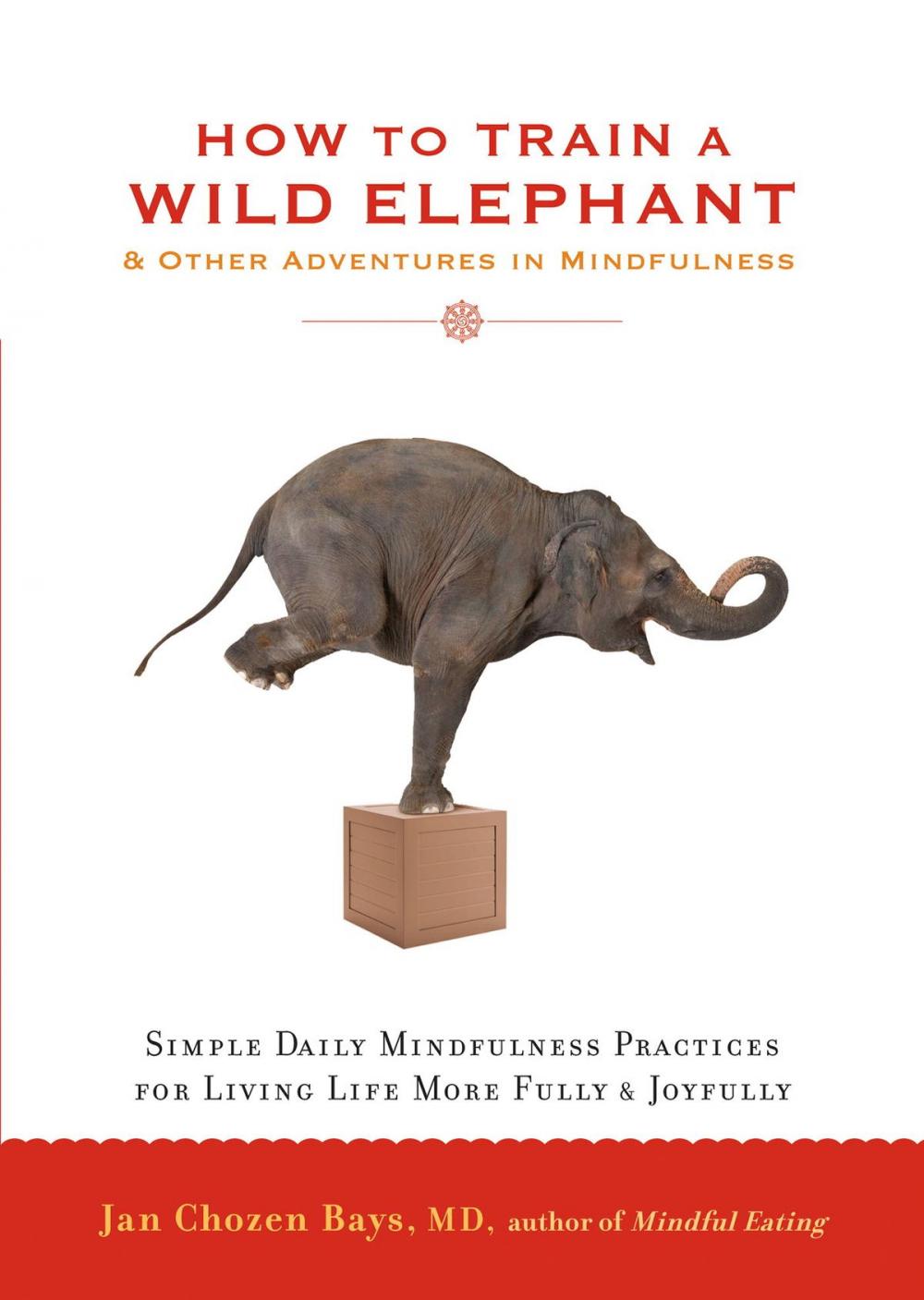 Big bigCover of How to Train a Wild Elephant