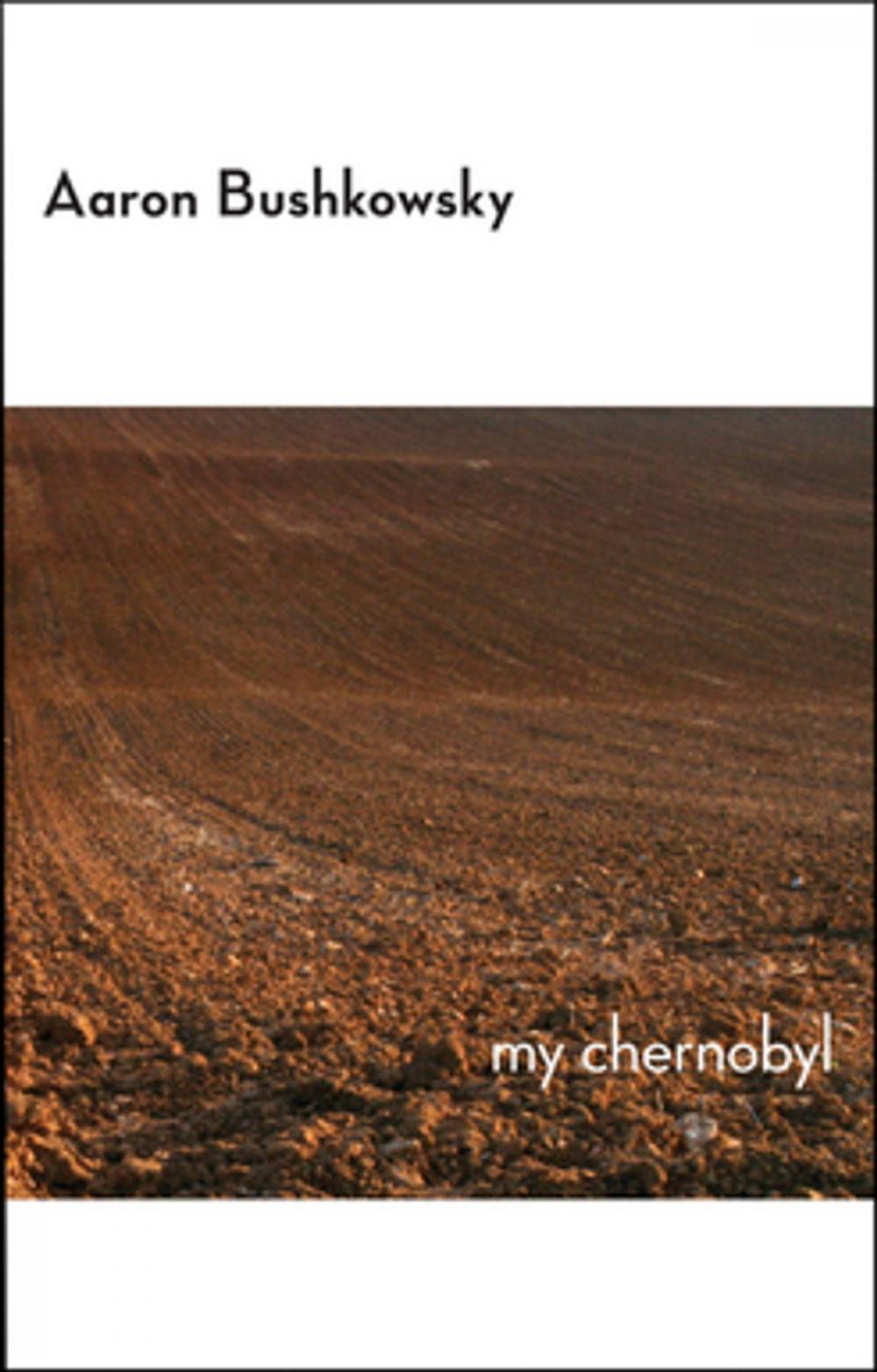 Big bigCover of My Chernobyl