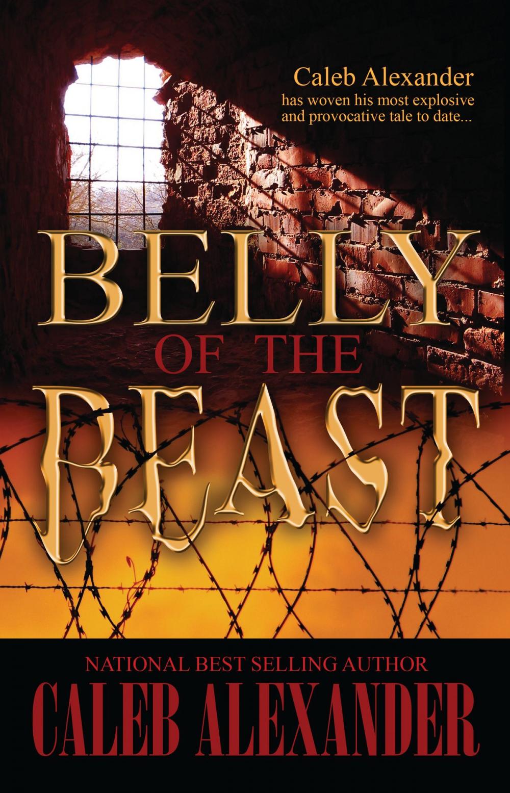 Big bigCover of Belly of the Beast