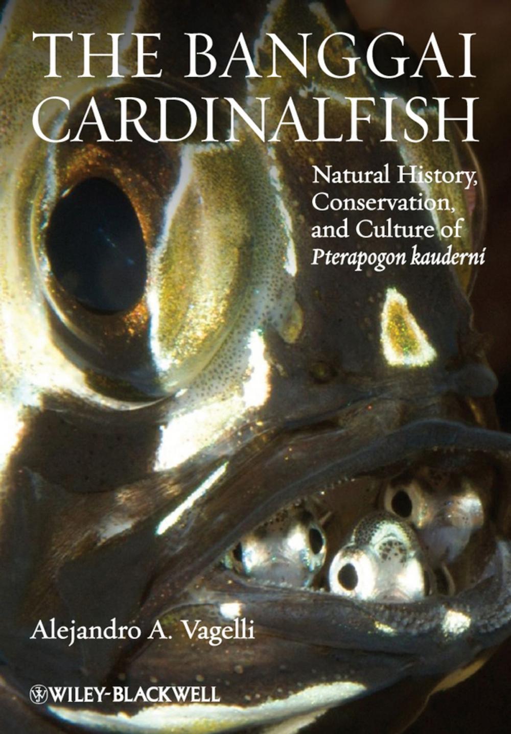 Big bigCover of The Banggai Cardinalfish