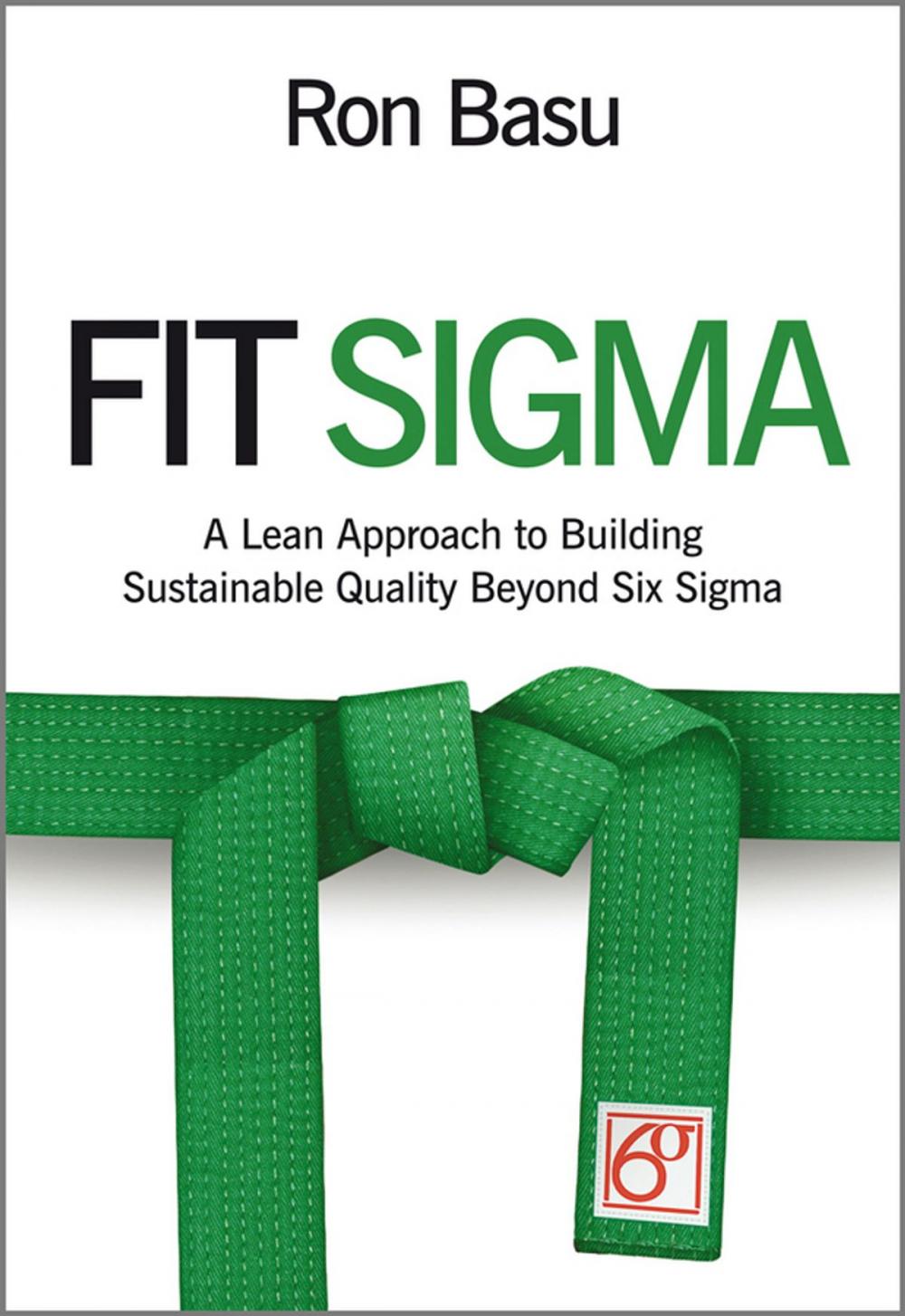 Big bigCover of Fit Sigma