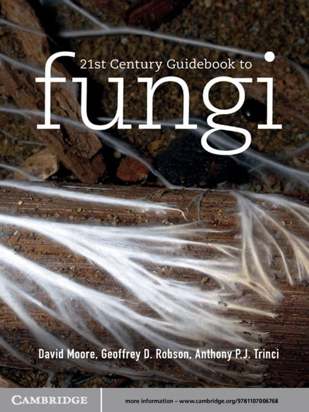 Big bigCover of 21st Century Guidebook to Fungi